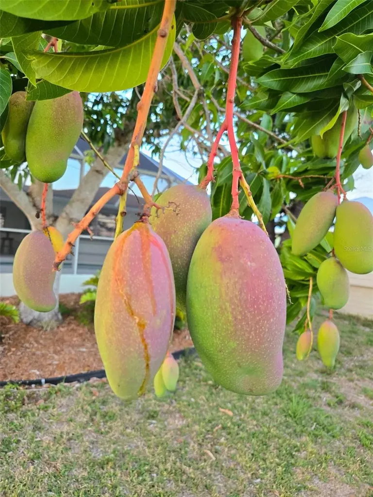 18093 Ohara Drive Port Charlotte FL 33948