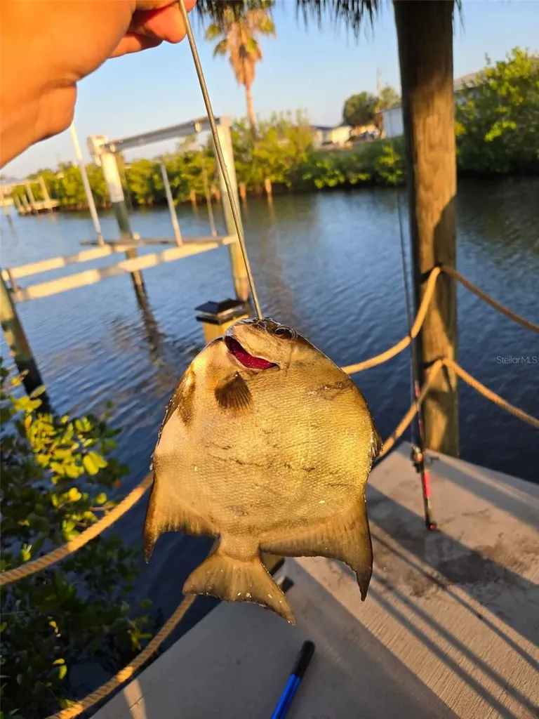 18093 Ohara Drive Port Charlotte FL 33948