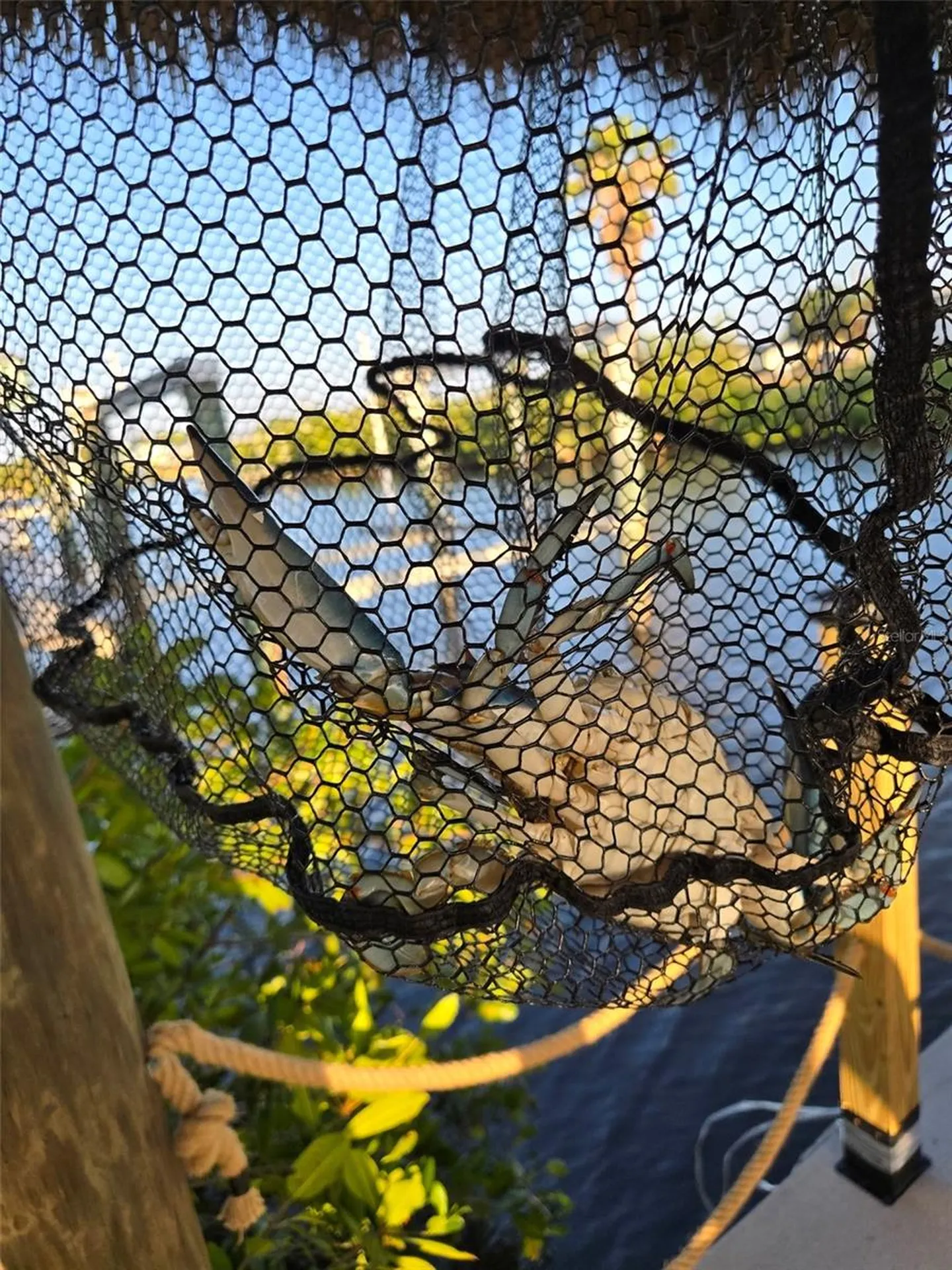 18093 Ohara Drive Port Charlotte FL 33948