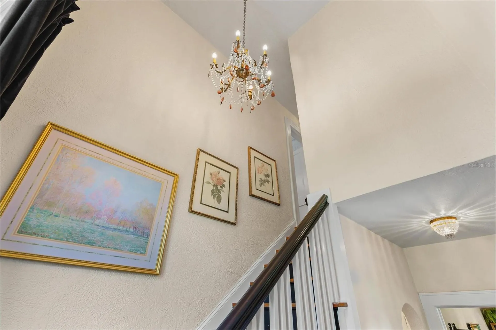 9233 Silver Lake Drive Leesburg FL 34788