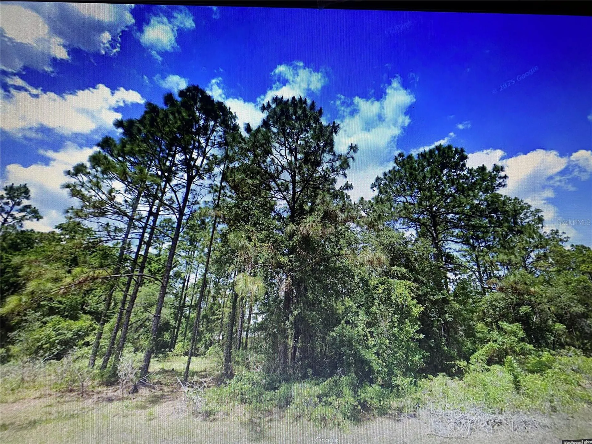 0 SW 135th Loop Ocala FL 34473