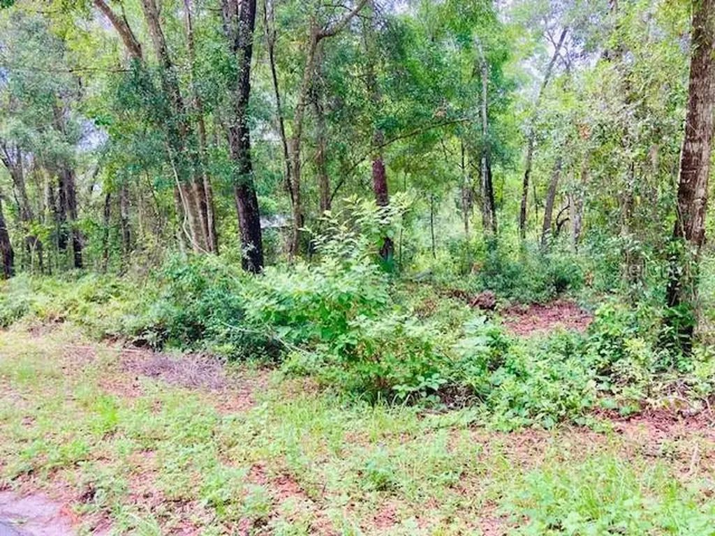 407 Raulerson Road Seville FL 32190