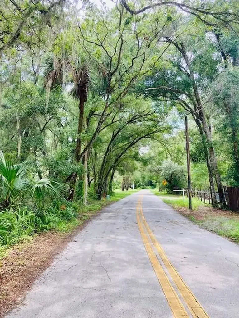 407 Raulerson Road Seville FL 32190
