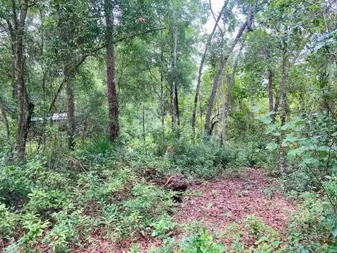407 Raulerson Road Seville FL 32190