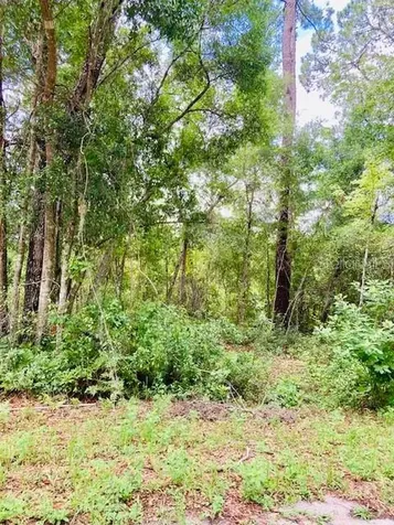 407 Raulerson Road Seville FL 32190