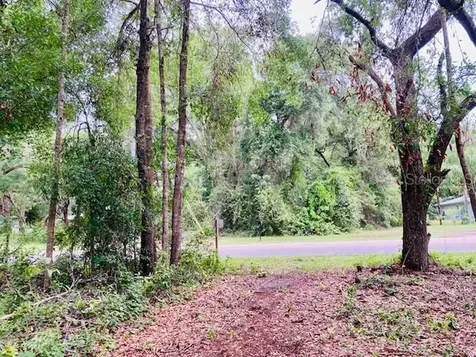 407 Raulerson Road Seville FL 32190