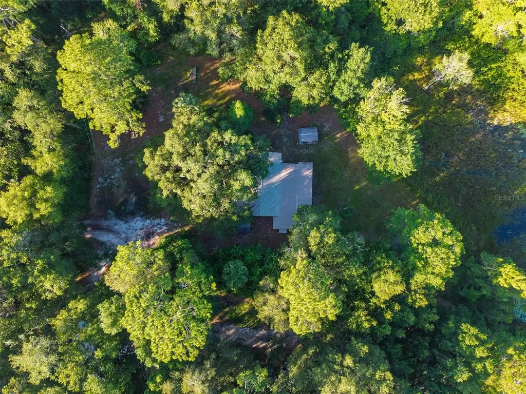 54544 Buckhorn Road Astor FL 32102