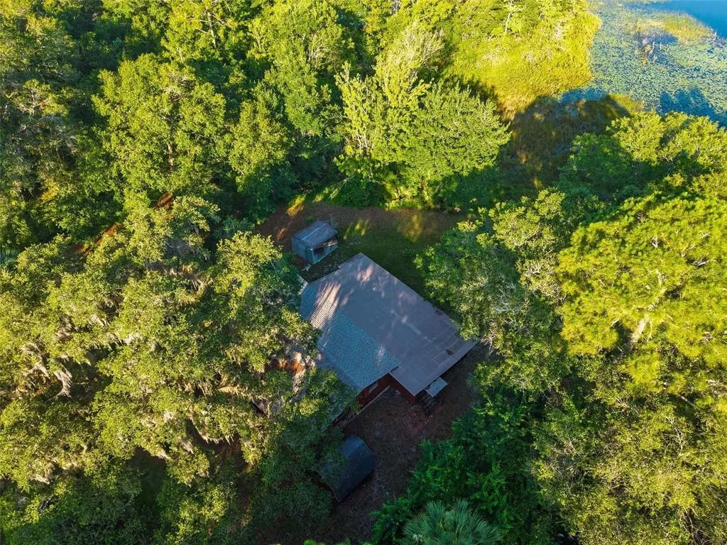 54544 Buckhorn Road Astor FL 32102
