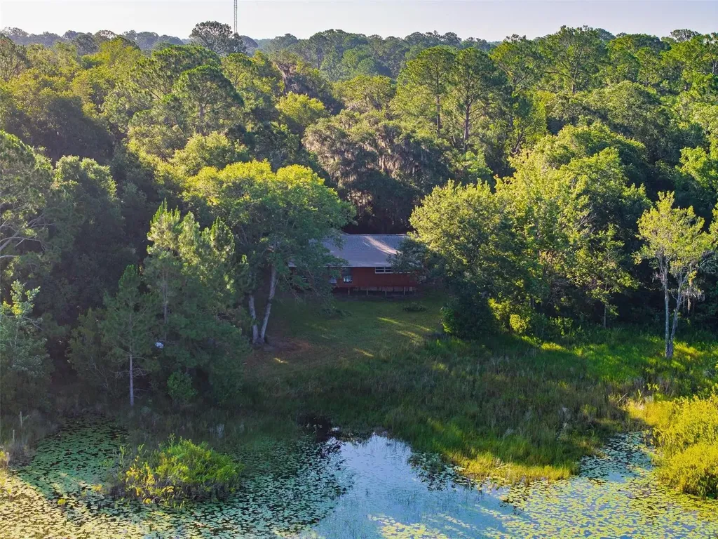54544 Buckhorn Road Astor FL 32102