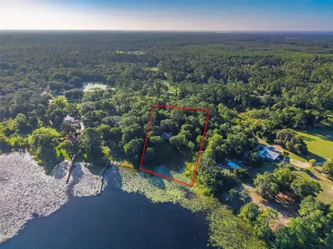 54544 Buckhorn Road Astor FL 32102
