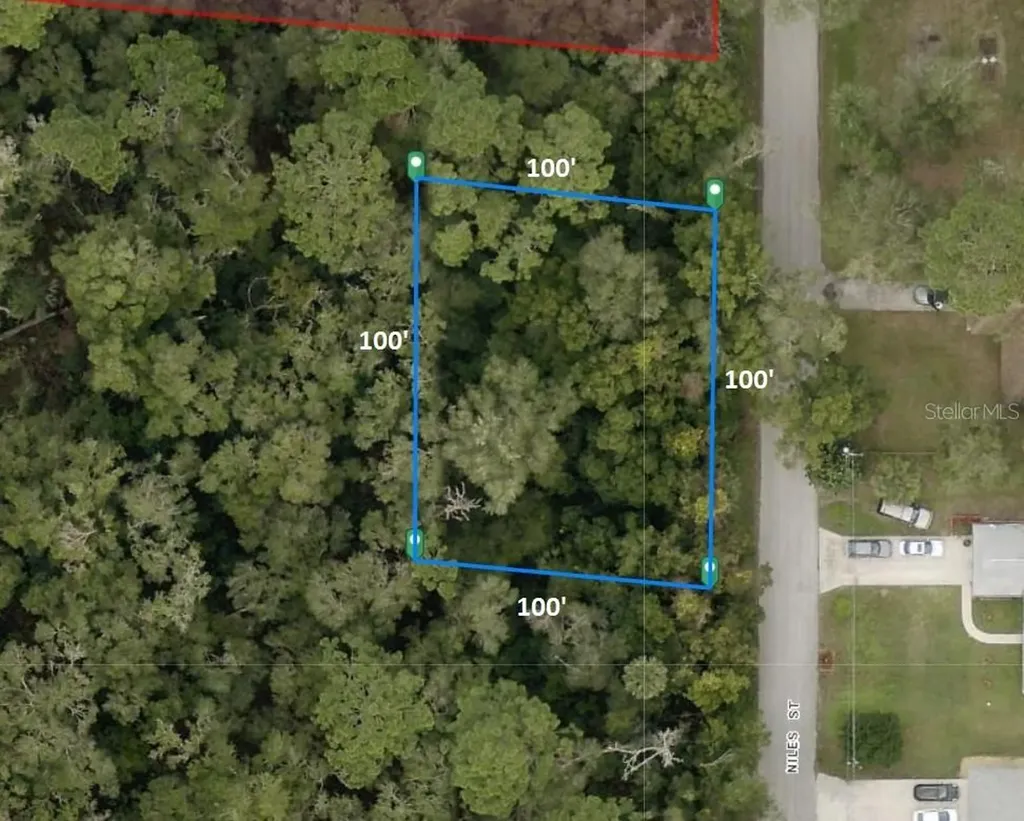 31637 Niles Street Sorrento FL 32776