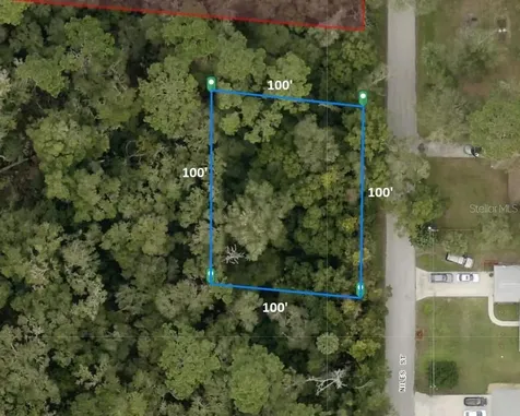 31637 Niles Street Sorrento FL 32776