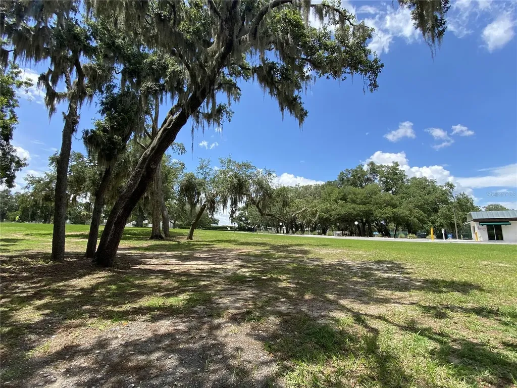 164 Royal Palm Drive Leesburg FL 34748
