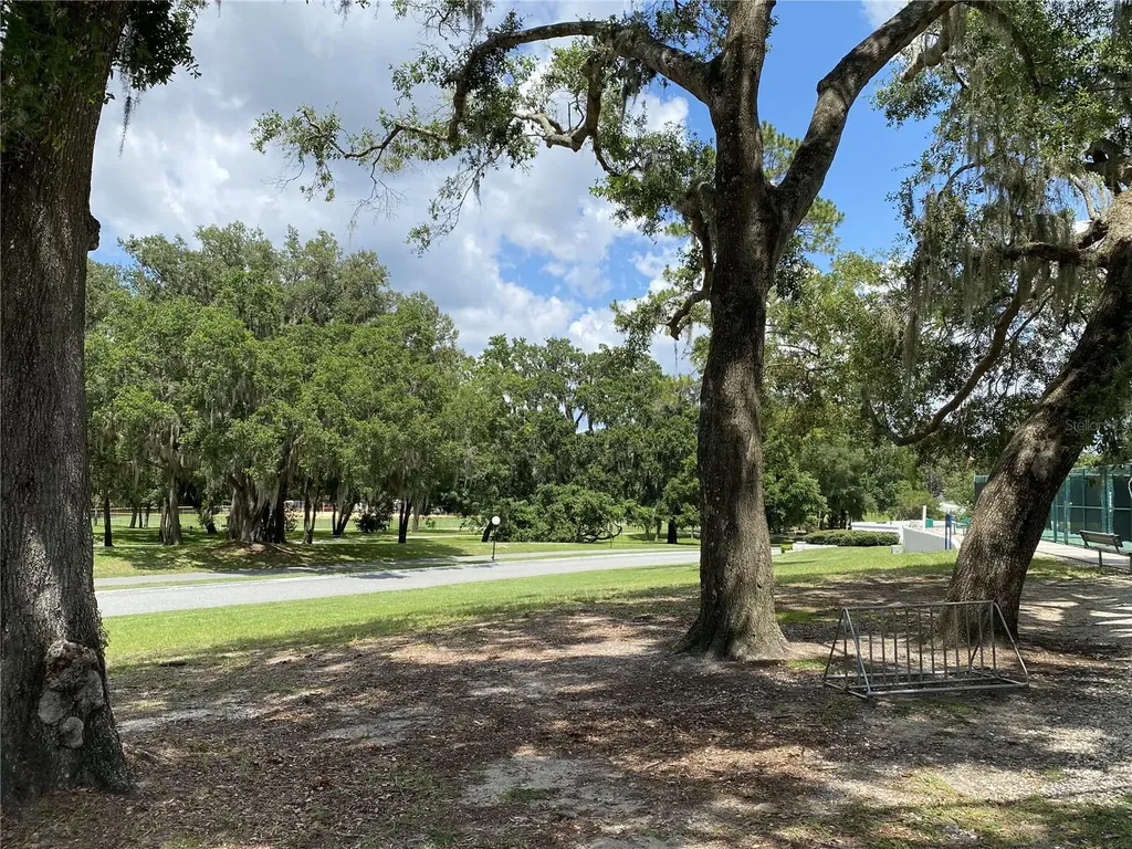 164 Royal Palm Drive Leesburg FL 34748