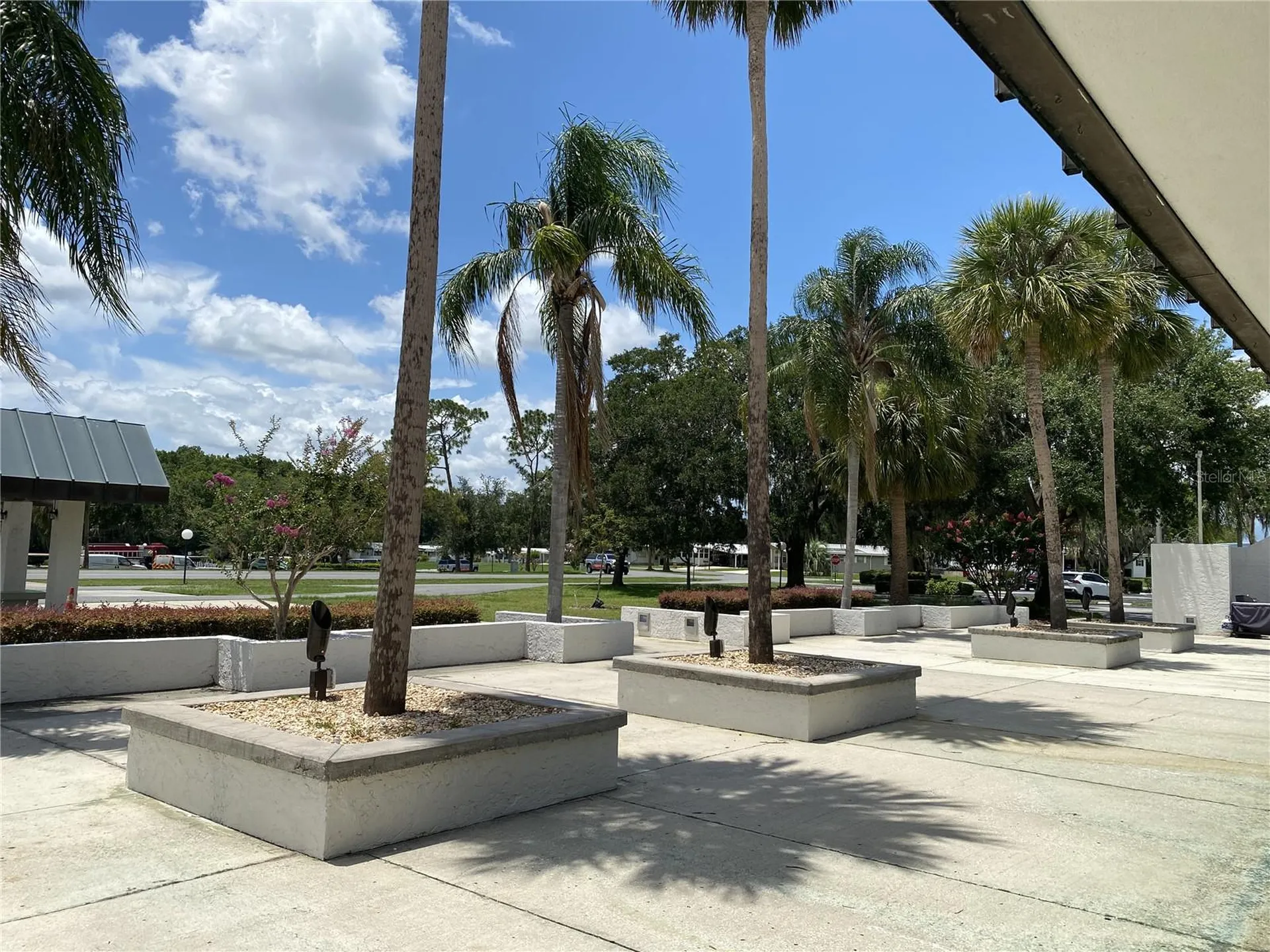 164 Royal Palm Drive Leesburg FL 34748