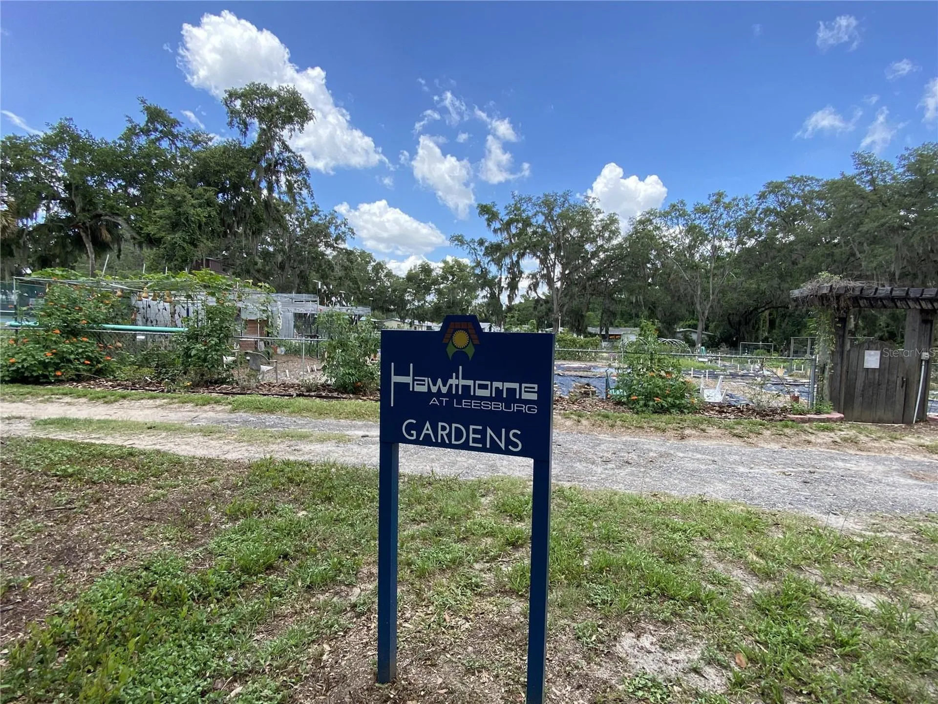 164 Royal Palm Drive Leesburg FL 34748