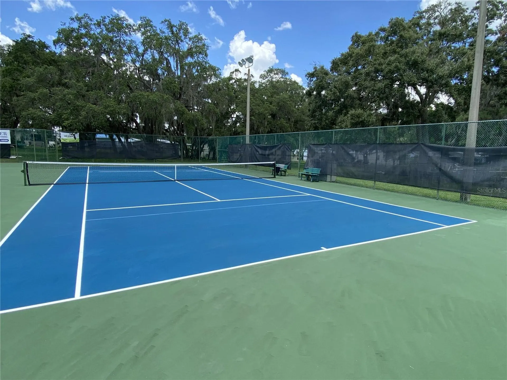 164 Royal Palm Drive Leesburg FL 34748