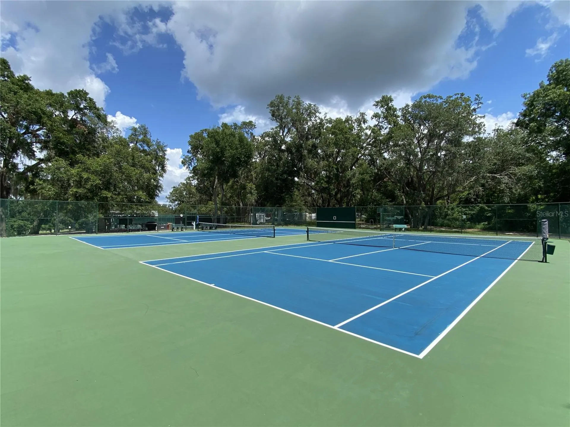 164 Royal Palm Drive Leesburg FL 34748