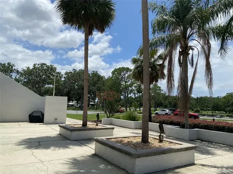 164 Royal Palm Drive Leesburg FL 34748
