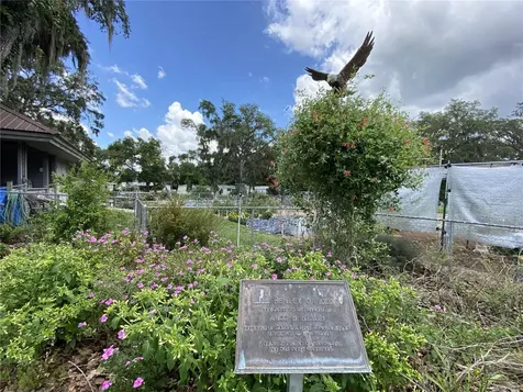 164 Royal Palm Drive Leesburg FL 34748