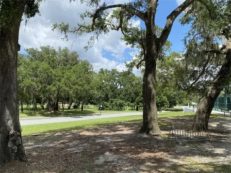164 Royal Palm Drive Leesburg FL 34748