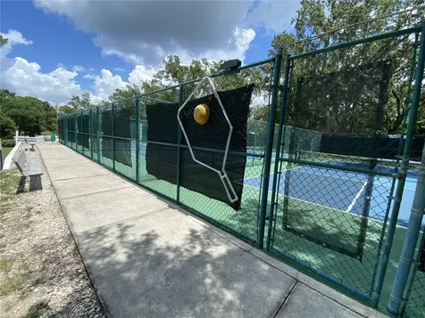 164 Royal Palm Drive Leesburg FL 34748