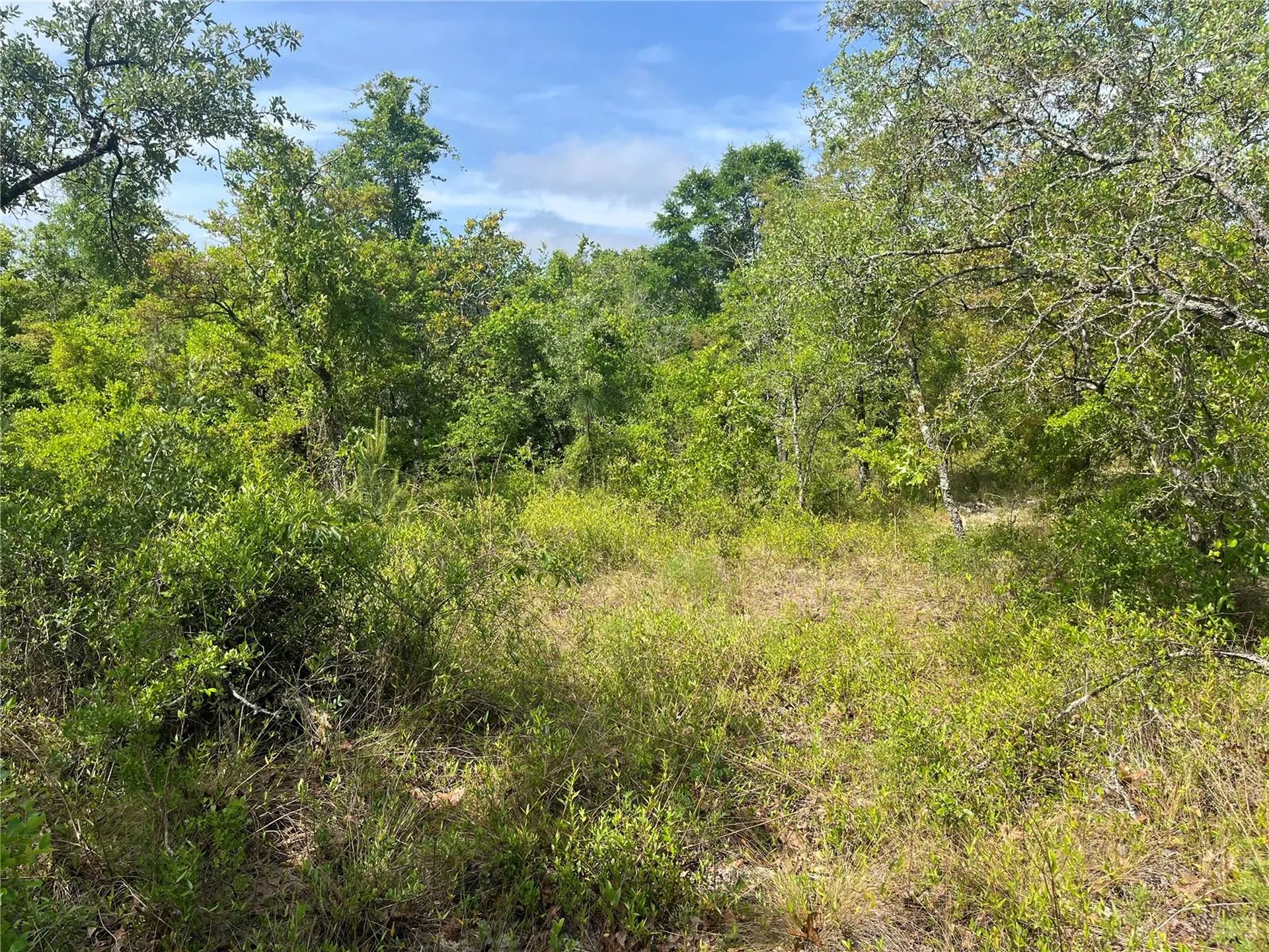 Rome Avenue Alford FL 32420
