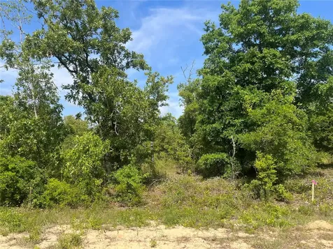 Rome Avenue Alford FL 32420