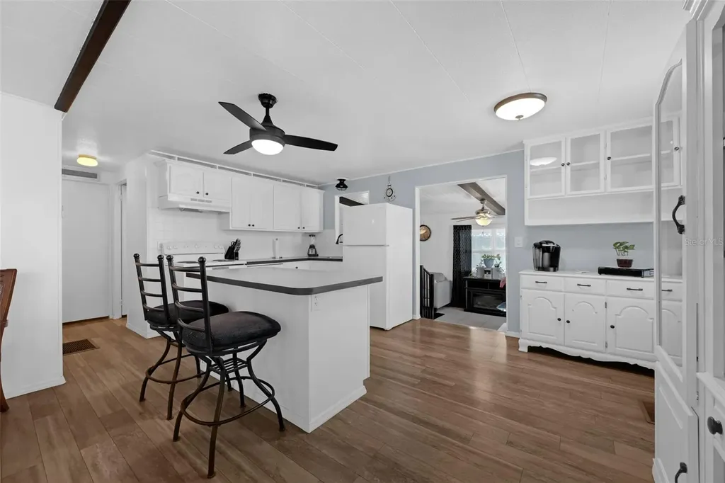 1025 Capella Drive Tavares FL 32778