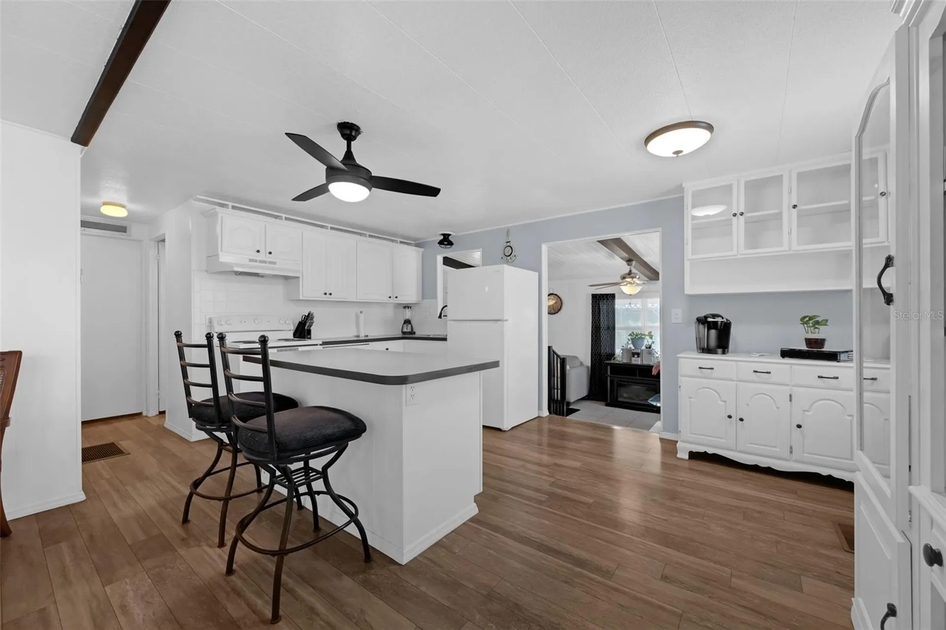 1025 Capella Drive Tavares FL 32778