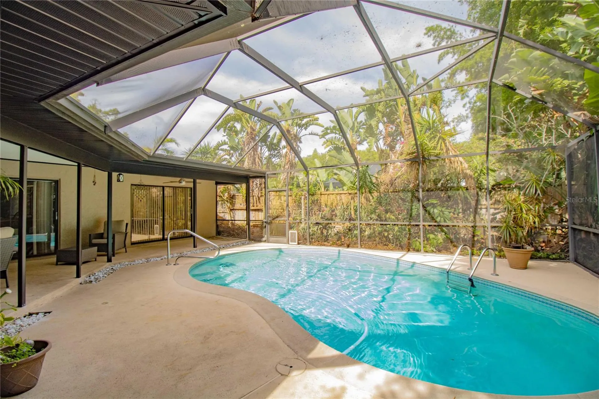 2199 Blue Tern Drive Palm Harbor FL 34683