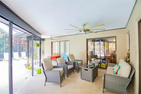 2199 Blue Tern Drive Palm Harbor FL 34683