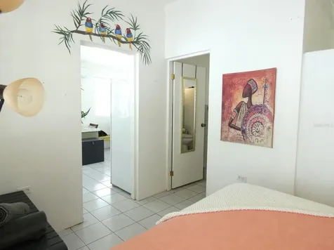 E115 Calle M-garcia Vieques PR 00765