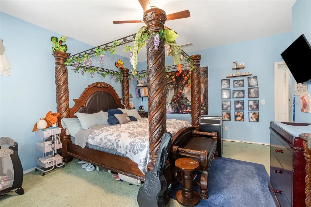 30308 Cheval Street Mount Dora FL 32757
