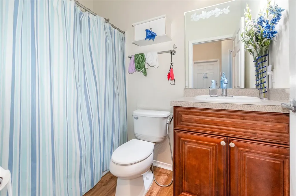 30308 Cheval Street Mount Dora FL 32757
