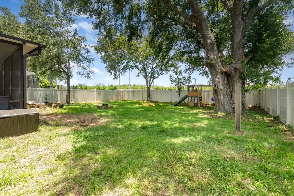 30308 Cheval Street Mount Dora FL 32757