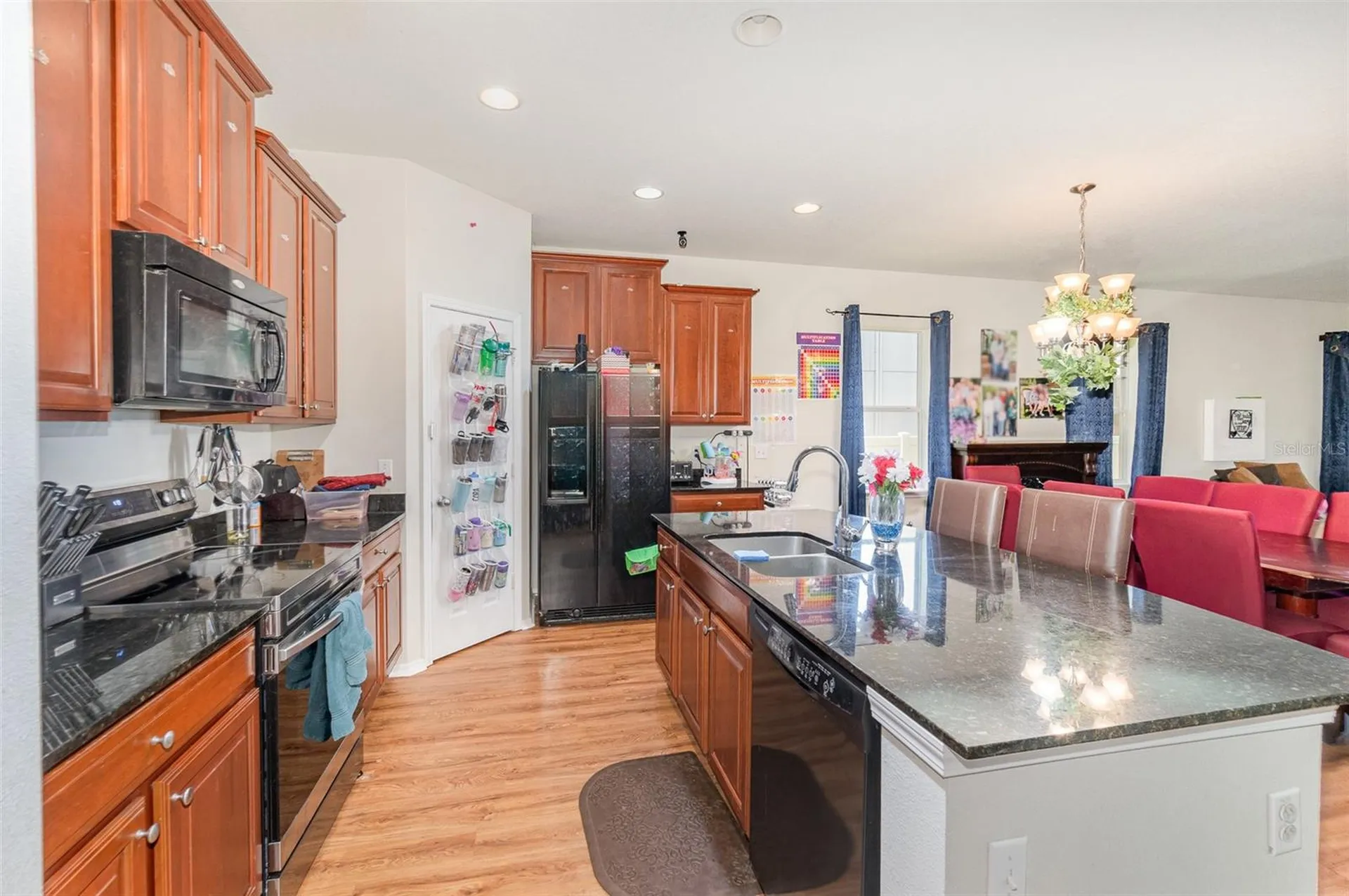 30308 Cheval Street Mount Dora FL 32757