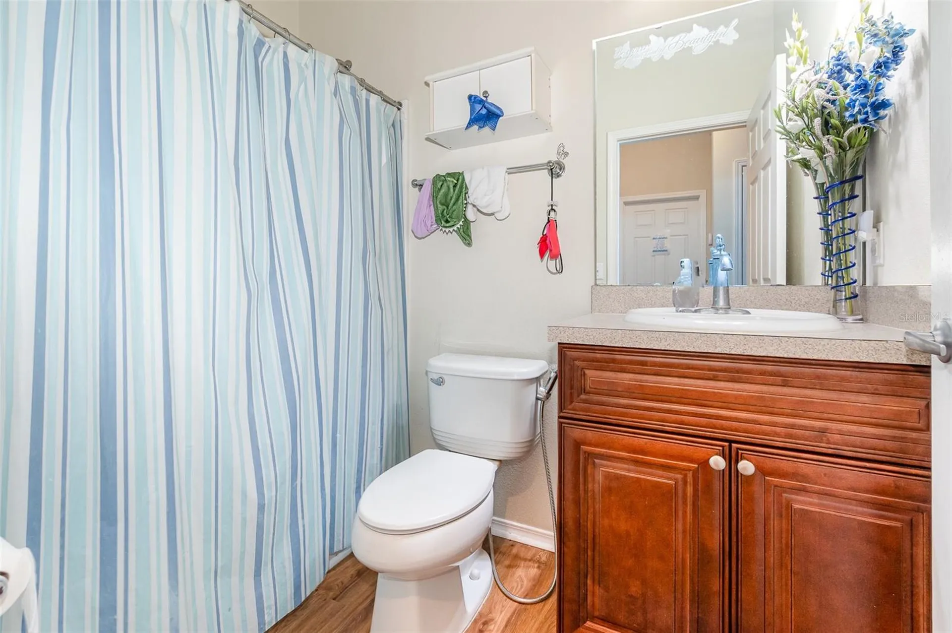 30308 Cheval Street Mount Dora FL 32757