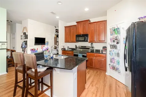 30308 Cheval Street Mount Dora FL 32757