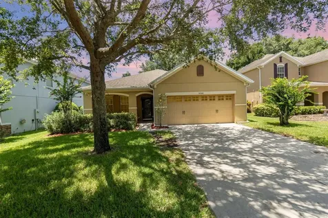 30308 Cheval Street Mount Dora FL 32757