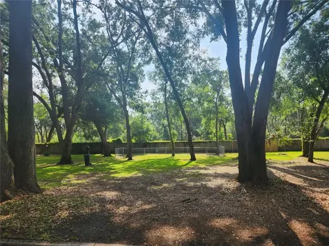 2247 Golden Oak Lane Valrico FL 33594