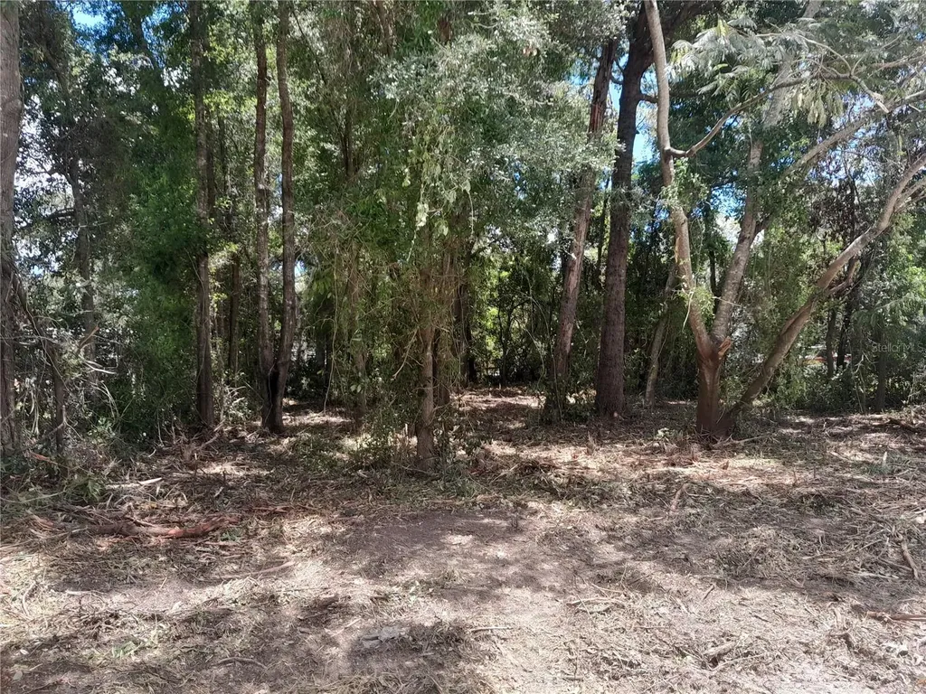 Tbd NE 48th Street Williston FL 32696