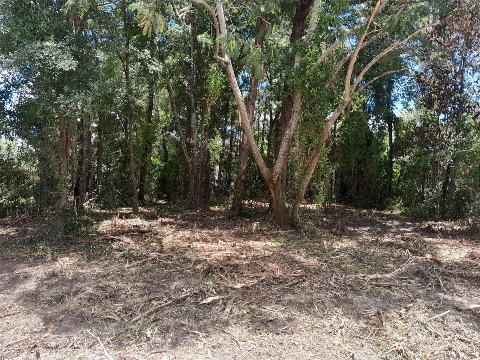Tbd NE 48th Street Williston FL 32696