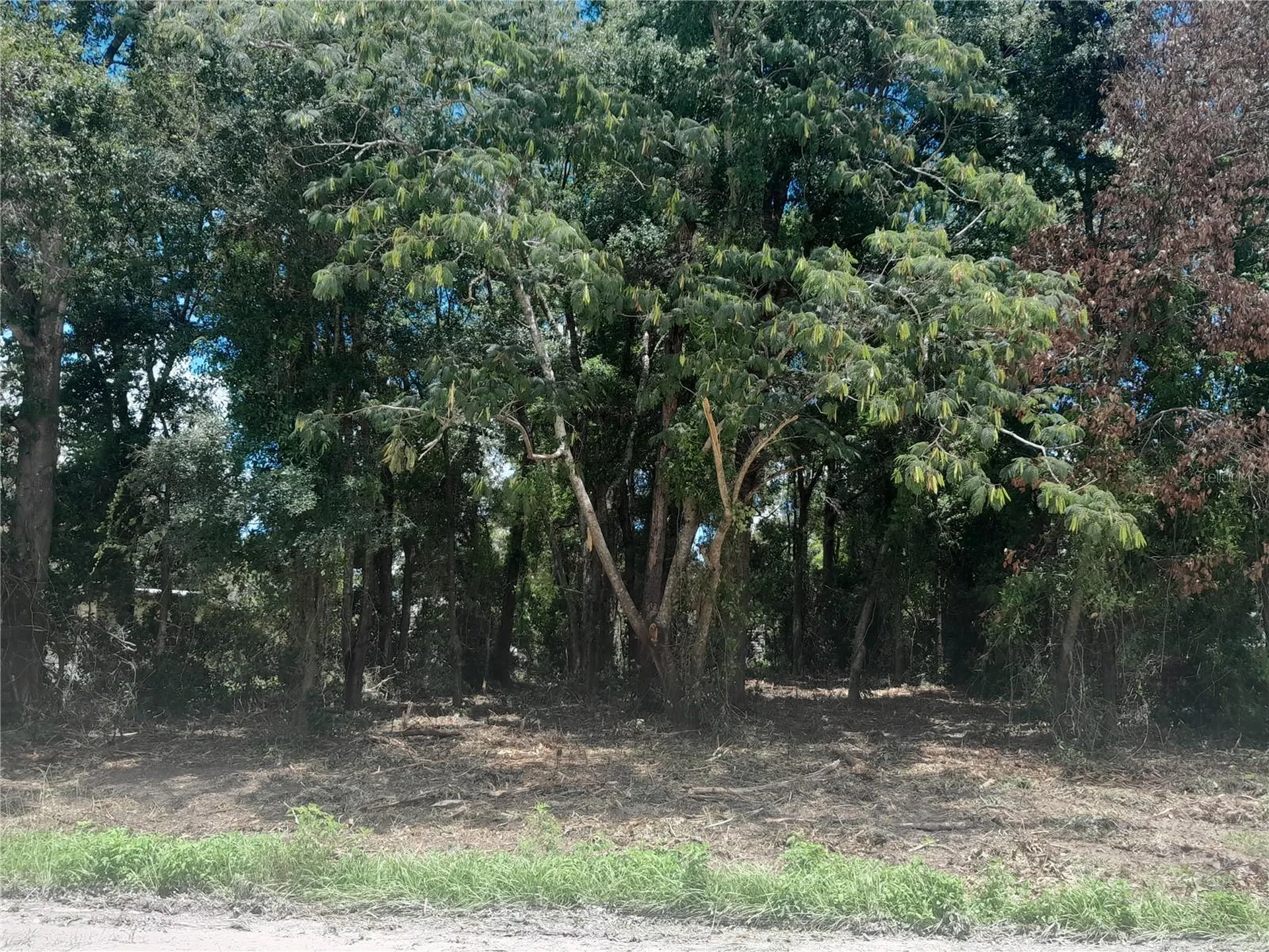 Tbd NE 48th Street Williston FL 32696