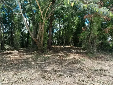 Tbd NE 48th Street Williston FL 32696