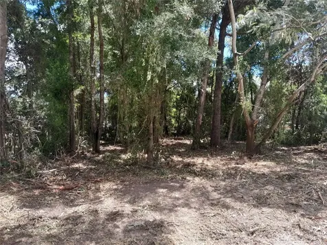 Tbd NE 48th Street Williston FL 32696
