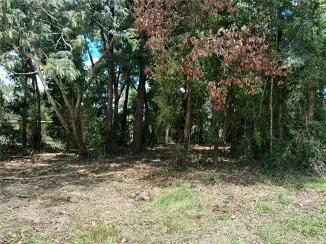 Tbd NE 48th Street Williston FL 32696