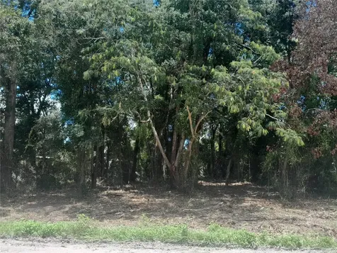 Tbd NE 48th Street Williston FL 32696