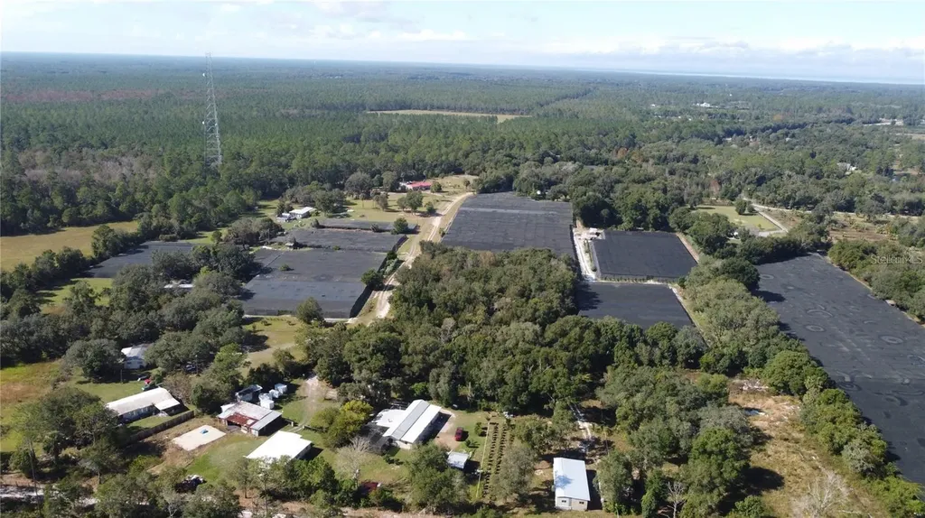 190 Dickie Lane Pierson FL 32180