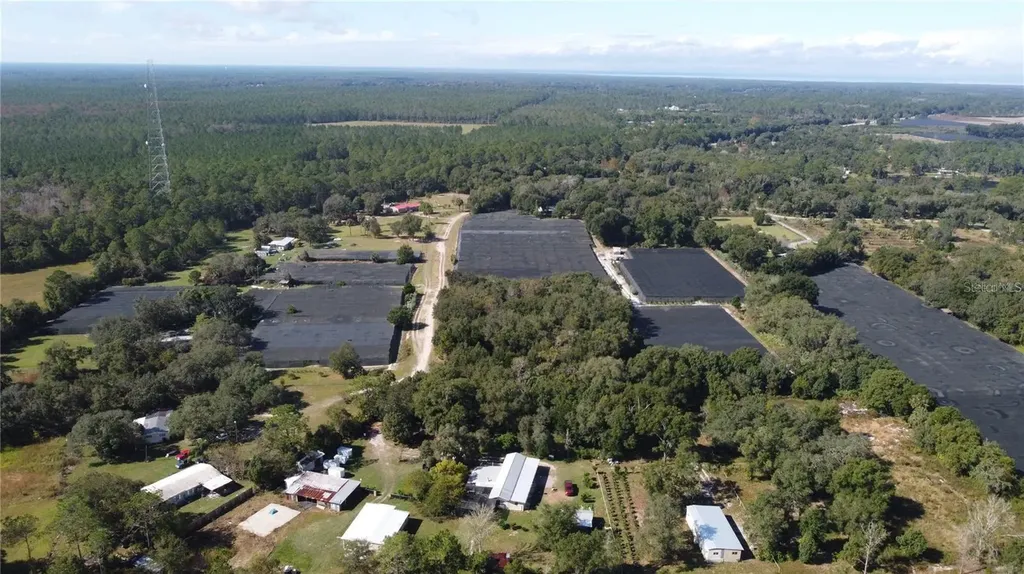 190 Dickie Lane Pierson FL 32180
